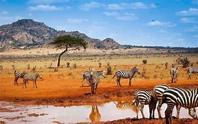 Image result for Kenia