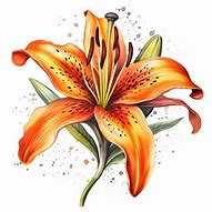 Image result for Lily Word Art