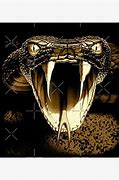 Image result for Cobra Snake Fangs