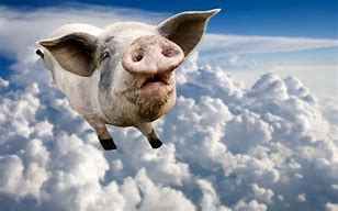 Image result for Golugo Animal Flying