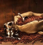 Image result for Coffe Farming in Kenya