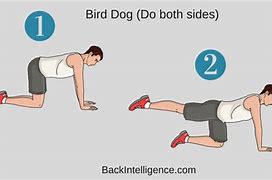 Image result for Lumbar Exercises for Back Pain