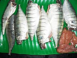 Image result for Frozen Mackerel