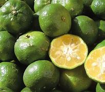 Image result for Citrus Depressa What Does It Smell Like