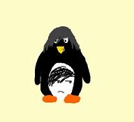 Image result for Emo Penguin