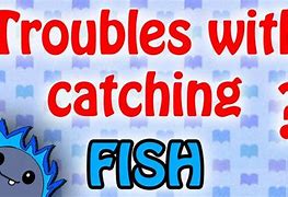 Image result for Animal Crossing New Leaf Fish