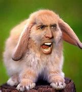 Image result for Nicolas Cage Baby Meme