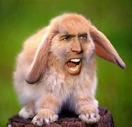 Image result for Nicolas Cage Baby Meme