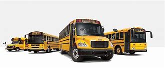 Image result for Green School Buses