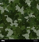 Image result for Camouflage Style