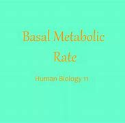 Image result for Basal Metabolic Rate with Black Background