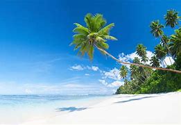 Image result for Landscaped Path Beach