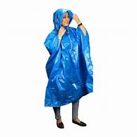 Image result for Blue Raincoat