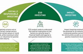 Image result for What Is ESG Investing