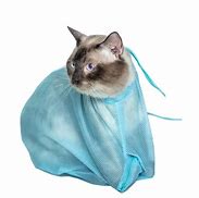 Image result for Cat Restraint Bag