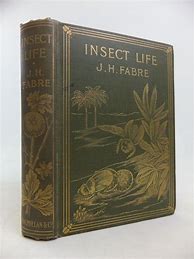 Image result for Insect Book by Fabre