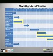 Image result for Program Management Timeline Template