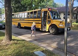 Image result for Green School Buses