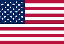 Image result for United States Bandera