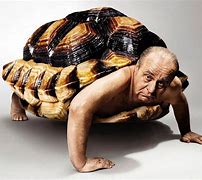 Image result for Turtle Man Meme