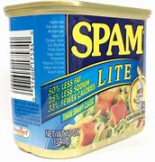 Image result for Spam Food