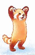 Image result for Red Panda Drawing