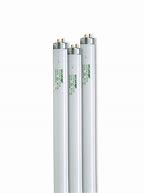 Image result for T8 High Output Bulbs