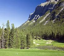 Image result for Wildlife On Banff Golf Course