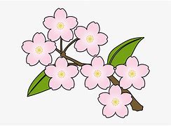 Image result for Cherry Blossom Single Flower Clip Art