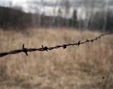 Image result for Barbed Wire Fence