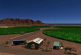 Image result for Desert Farming