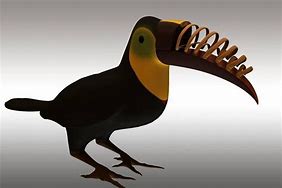 Image result for Toucan Beak Evolution