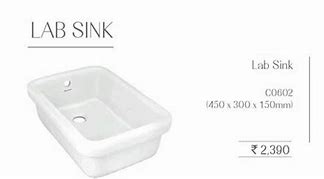 Image result for Free Standing Lab Sink