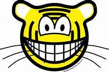 Image result for Smiley Tiger