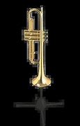 Image result for Trumpet Accessories