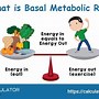 Image result for Define Metabolic Rate