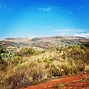 Image result for Suikerbosrand Nature Reserve