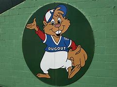 Image result for Little Leaguer Dugout