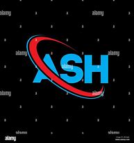 Image result for Ansh Logo 3D