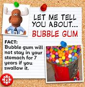 Image result for Fun Facts Bubble Gum