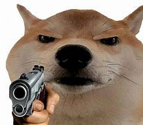 Image result for Doge Sad Logo