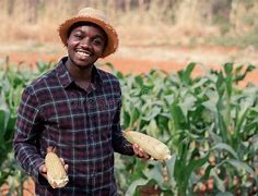 Image result for Farming Stock Image