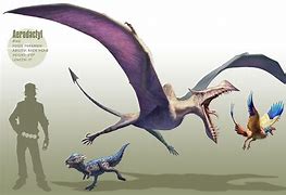 Image result for Aerodactyl Variants