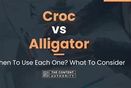 Image result for Croc vs Alligator Snout