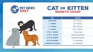 Image result for Cartoon Cat Growth Chart