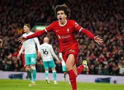 Image result for Liverpool Calpol