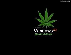 Image result for Weed Backgrounds For Laptop