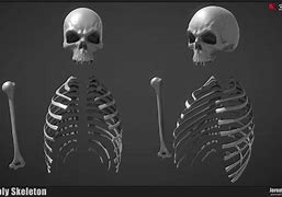 Image result for Skeleton in Dungeon Pic