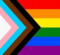 Image result for 100 LGBTQ Flags