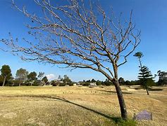 Image result for Glen Iris Golf Course